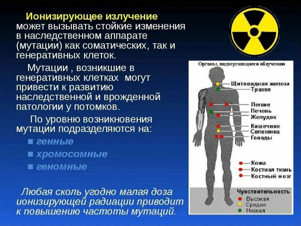 Одно из которых изменение. Ионизирующее излучение на человека. Воздействие ионизирующих излучений на человека. Влияние ионизирующего излучения на организм. Влияние ионизирующих излучений на организм.