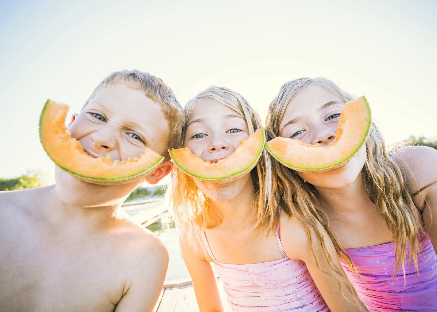 "Здоровье и польза дыни: полезные свойства и использование"