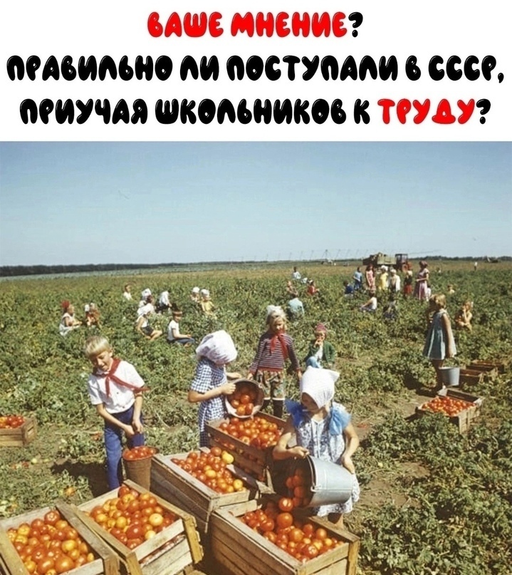 Без труда не выловишь и рыбку из пруда?