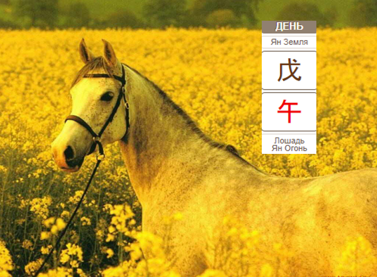 Рекомендация на 28 августа