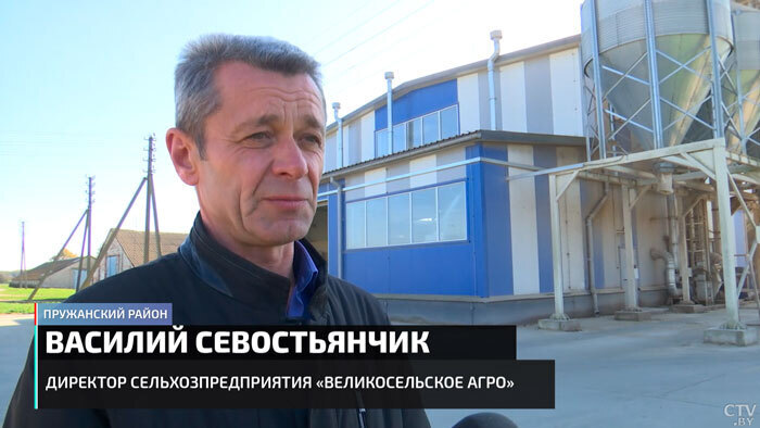 Как живут наши близкие друзья белорусы?