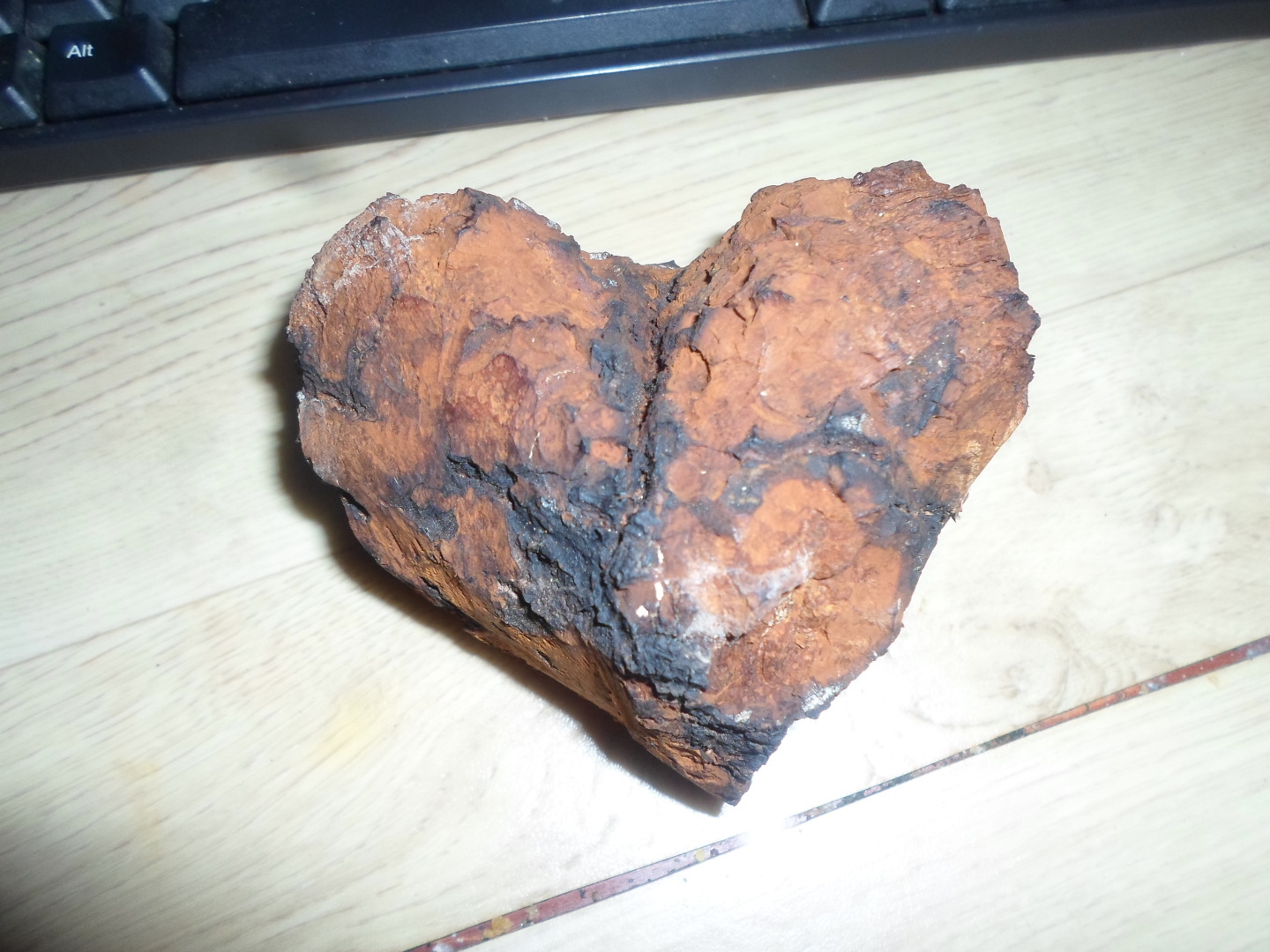 "Научись так любить природу: секреты гармоничного взаимодействия с окружающей средой"