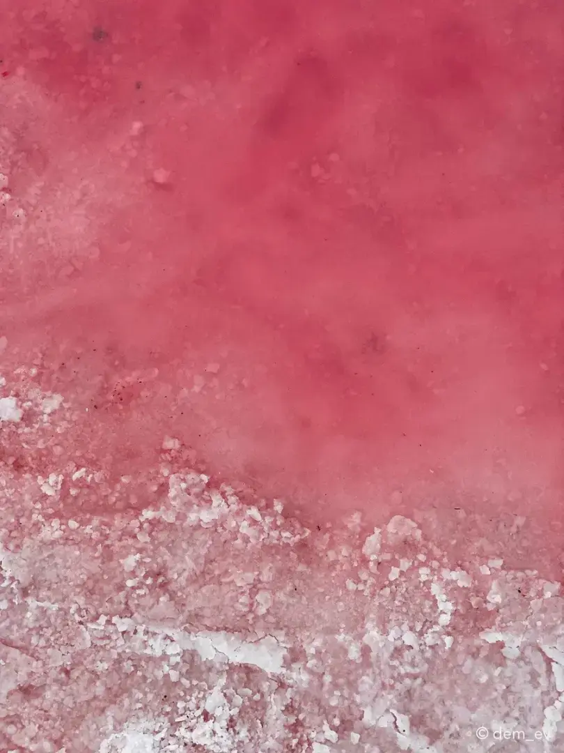 Почему озеро розовое? Раскройте тайны озера Сасик-Сиваш в Крыму.