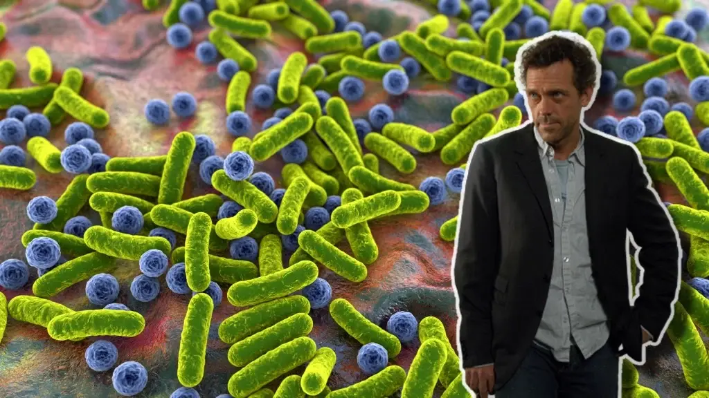 Легионелла распространяется по всей Польше. Эпидемиолог: Нам нужен доктор Хаус !