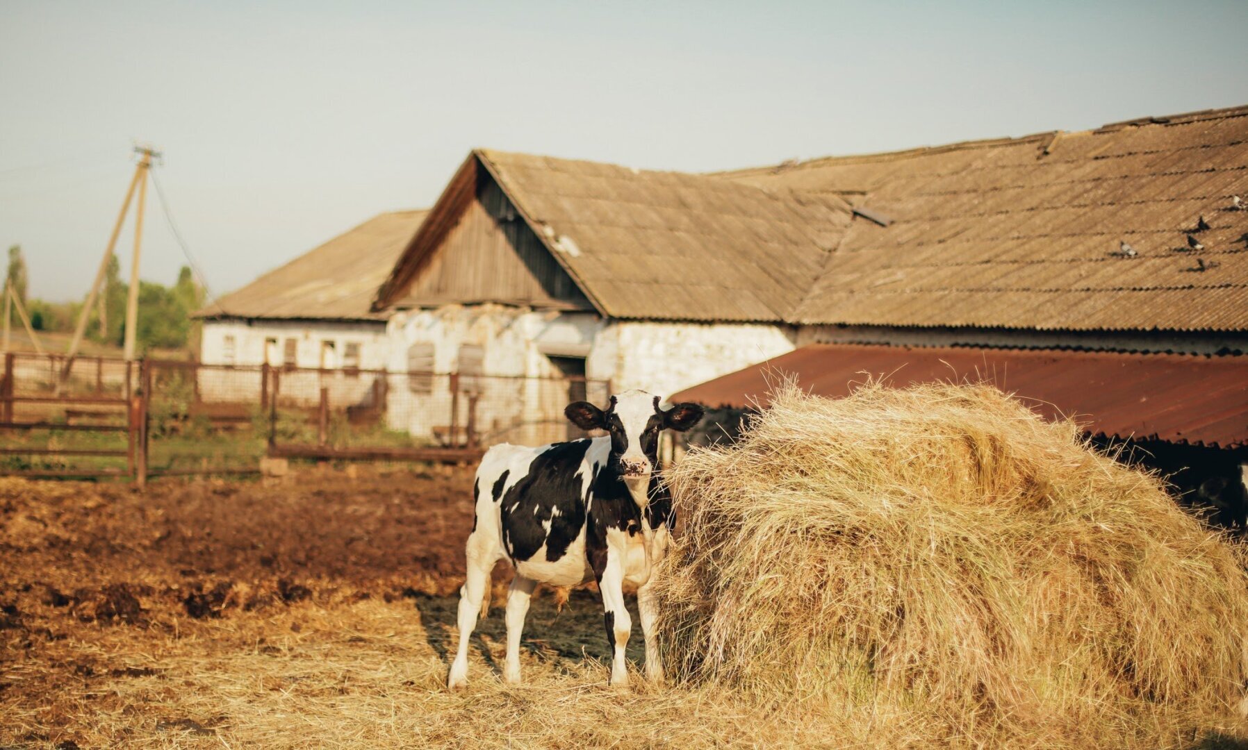 Тайный заговор глобальной элиты против еды.