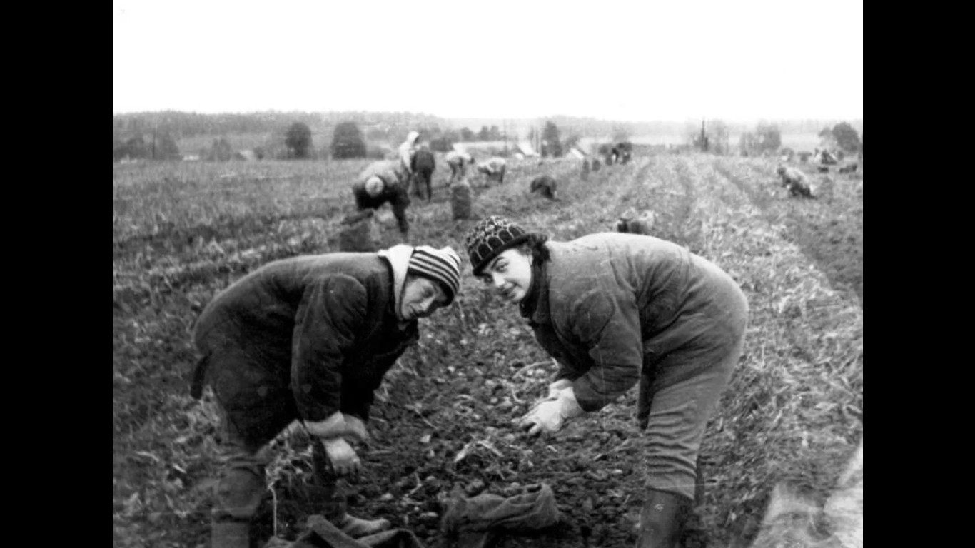 Откуда это чёртово яблоко?