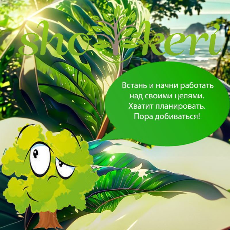 🌱Почему бюджетирование не должно быть страшным🌱