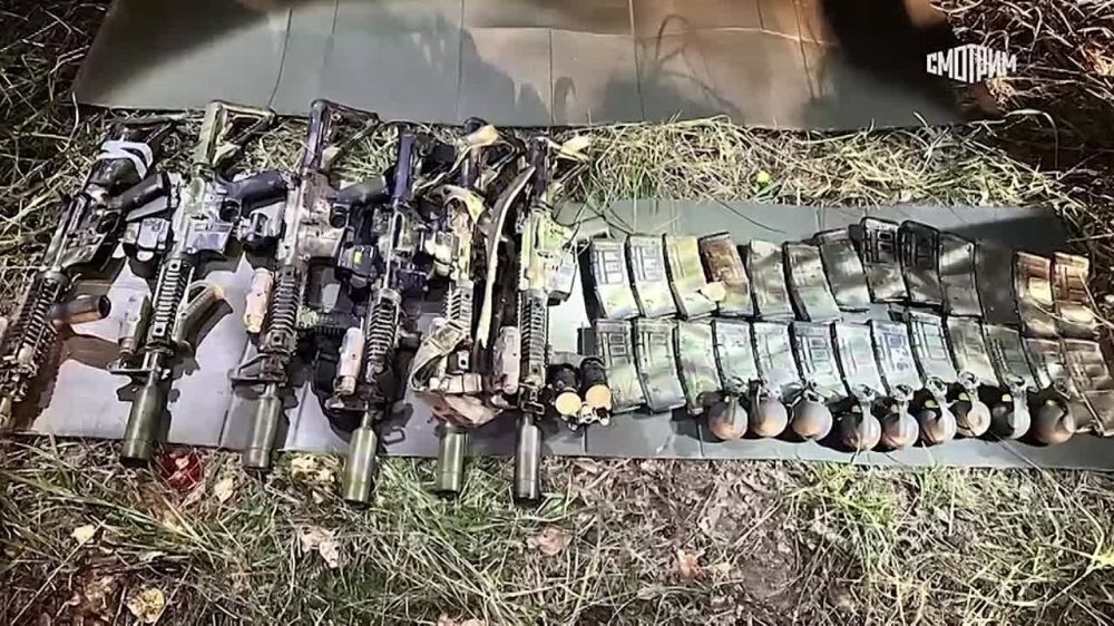 В Брянской области разгромили группу украинских диверсантов