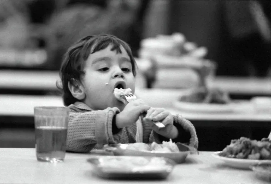 Лепка пельменей в СССР: домашняя традиция в сравнении с современностью