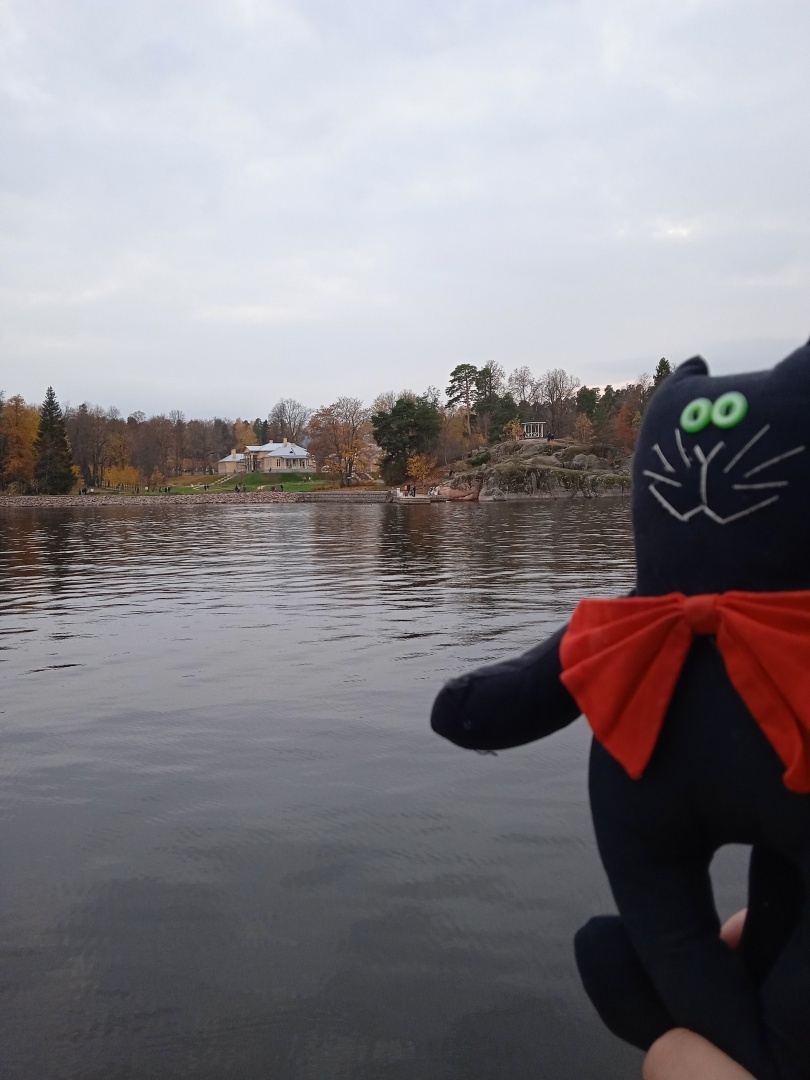 Как магический кот меня в Питер переманил