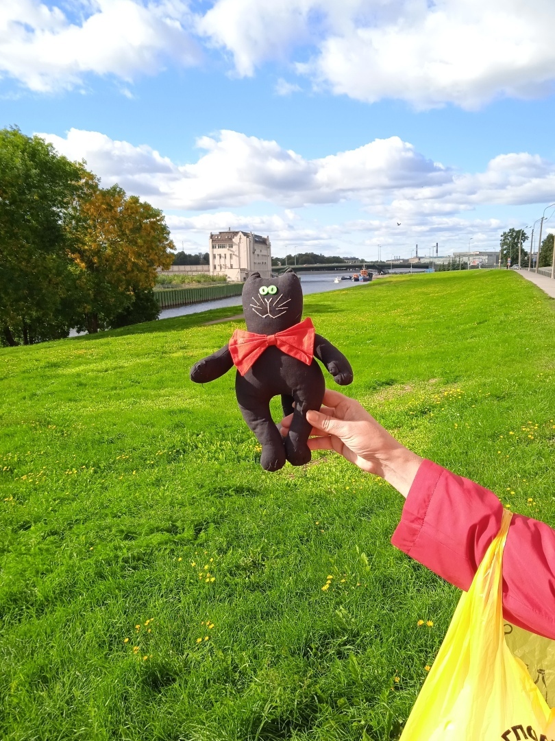 Как магический кот меня в Питер переманил