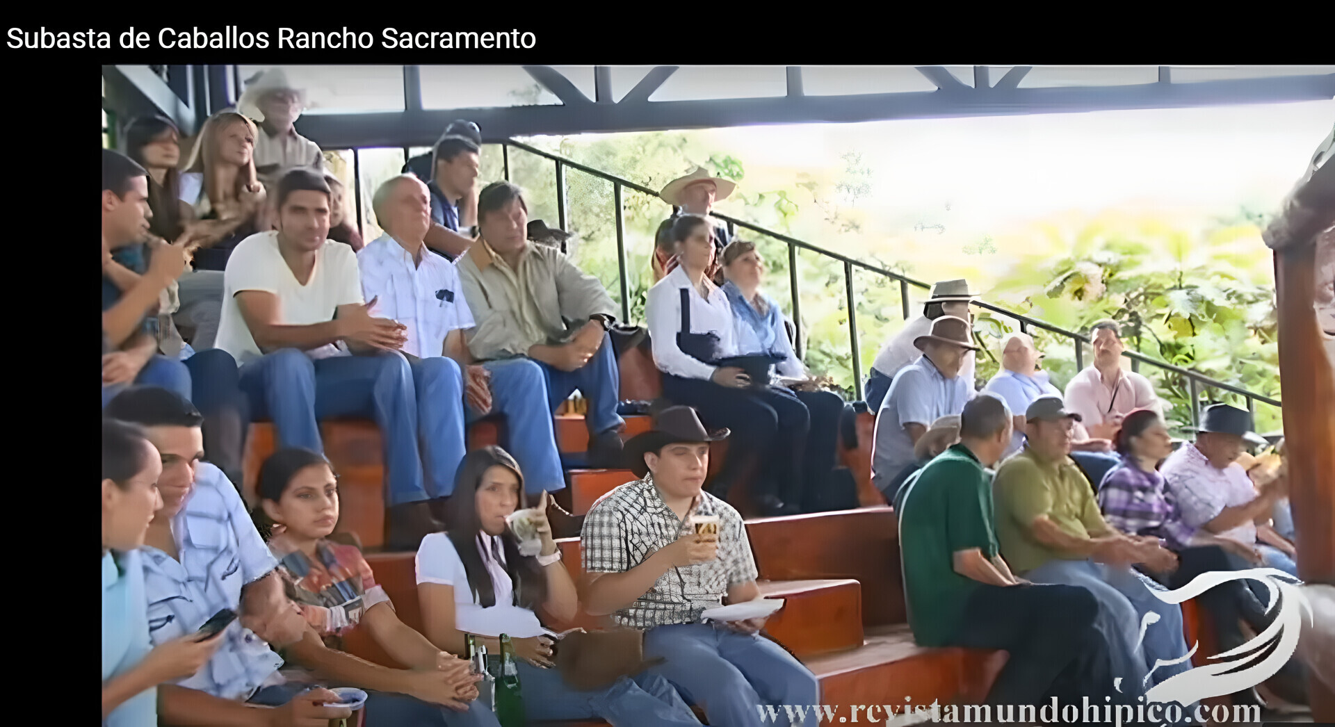 Может ли адвокат быть доморощенным?