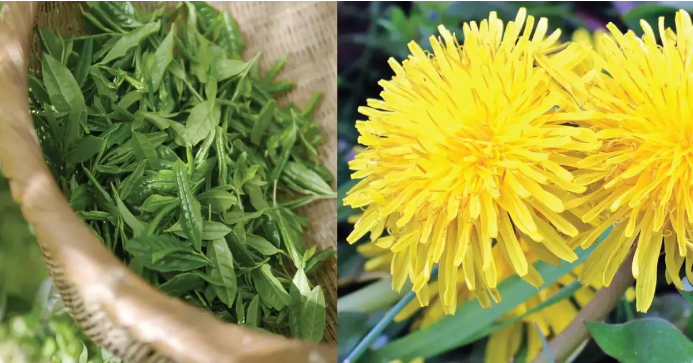 Лучшие добавки и натуральные средства от боли в суставах и артрита