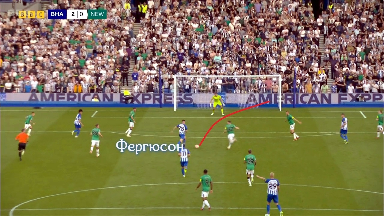 Вчера Чайки летали куда лучше Сорок