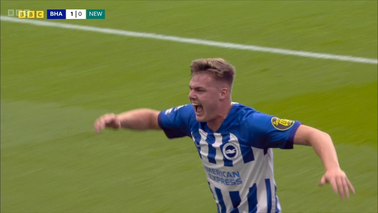 Вчера Чайки летали куда лучше Сорок