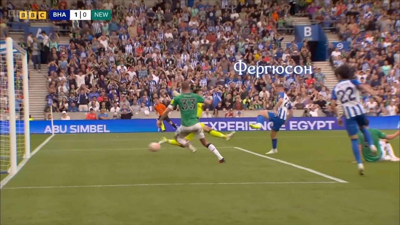 Вчера Чайки летали куда лучше Сорок