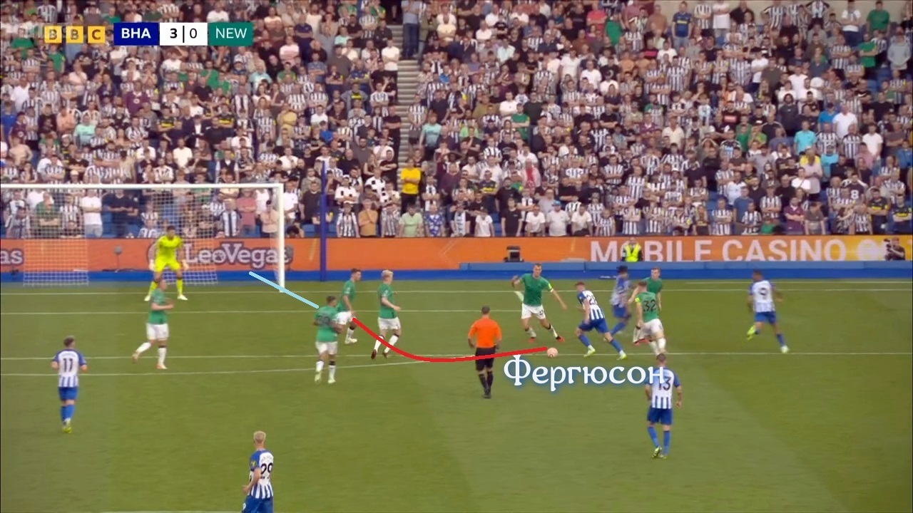 Вчера Чайки летали куда лучше Сорок