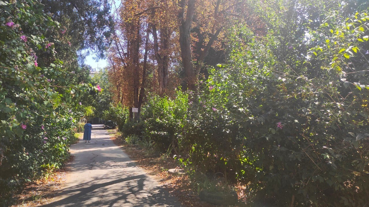 Провинциальные "Черёмушки": что с ними не так и ждёт ли их реновация