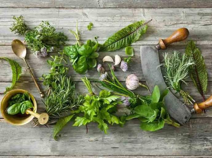 Лучшие натуральные травы для лечения беспокойства и успокоения нервной системы