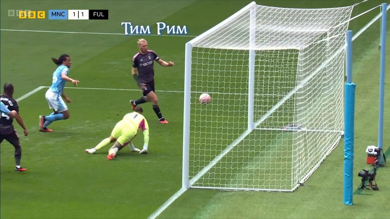 Горожане избили дачников при попустительстве судьи