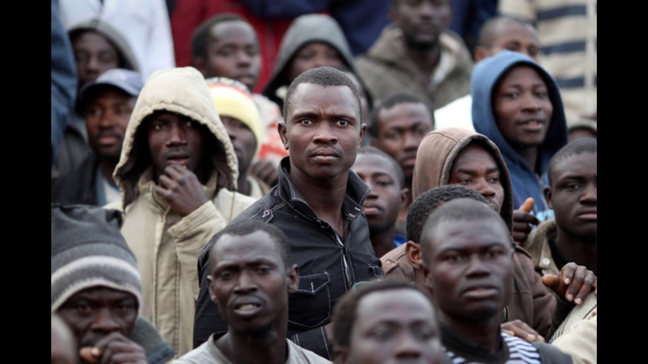 Предыстория идеи импорта африканцев в Россию: В чем подвох и кто за ним стоит?