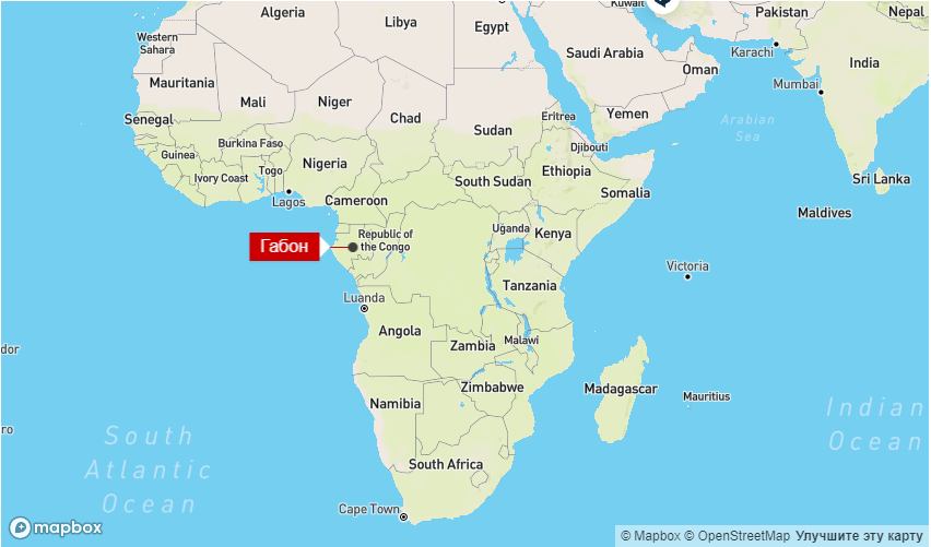 Офицеры Габона объявили переворот и поместили президента под домашний арест