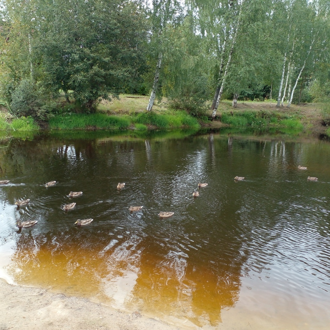 До свидание лето или что оно нам подарило