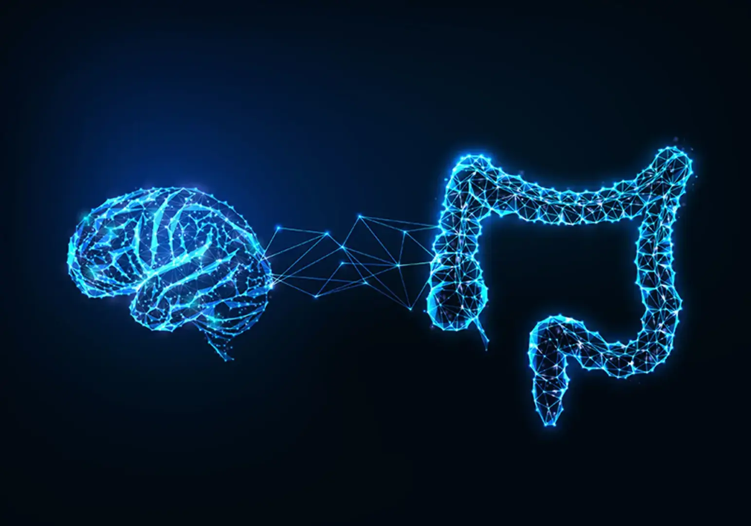 Новый инструмент для изучения связи кишечника и мозга