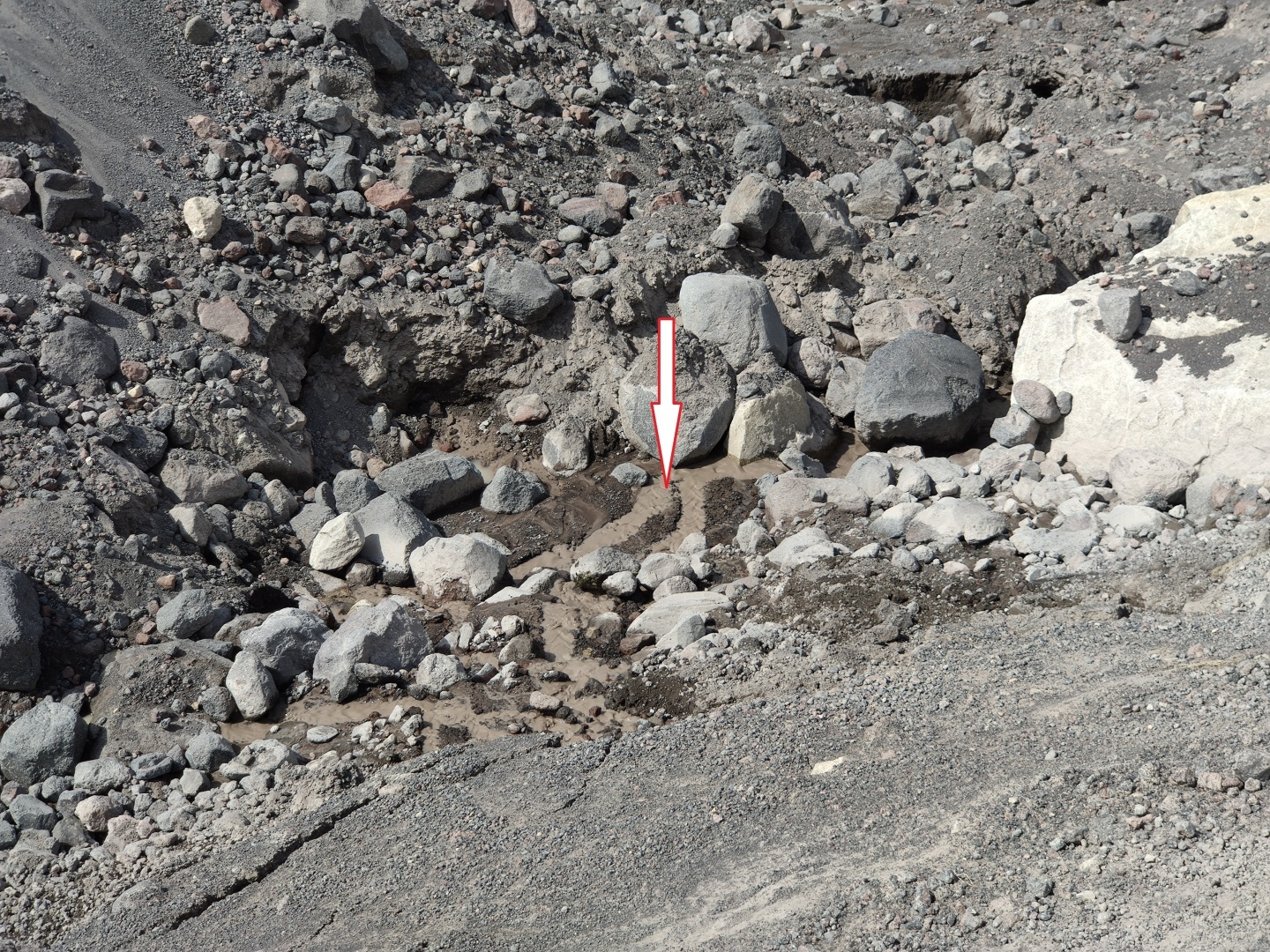 Почему не из каждой горной реки можно набрать кристально чистую воду