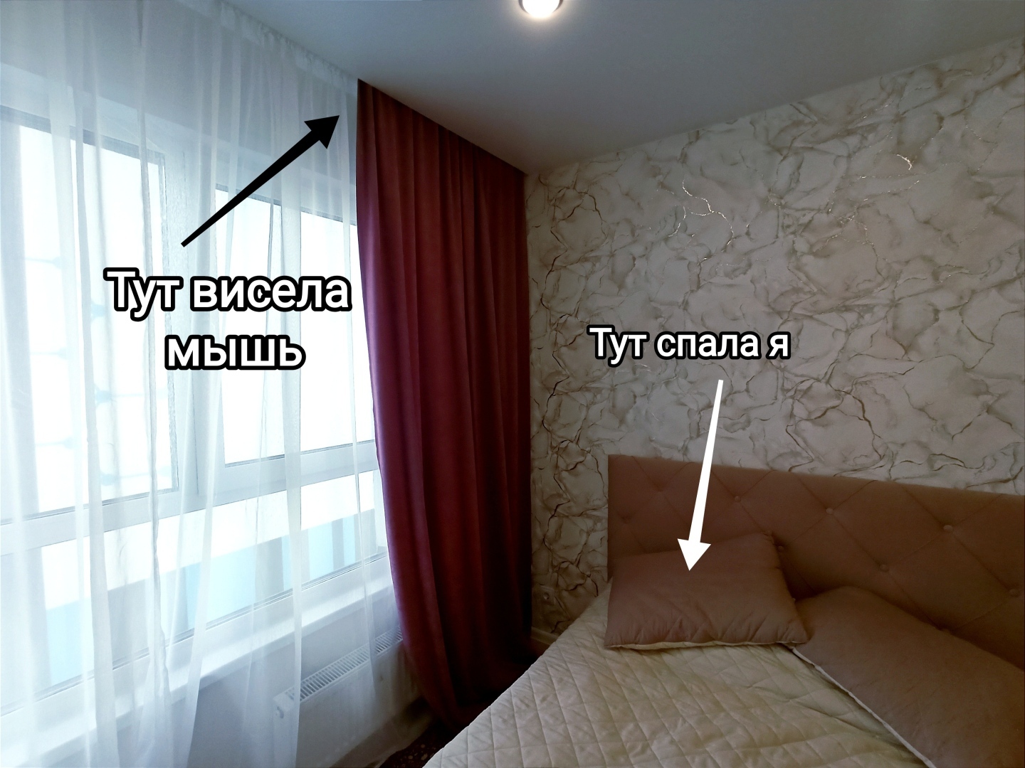 Ужас на крыльях ночи пил нашу кровь 2 недели