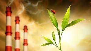 Экологические вызовы, Какие меры можно принять для борьбы с изменением климата и сохранения биоразнообразия?