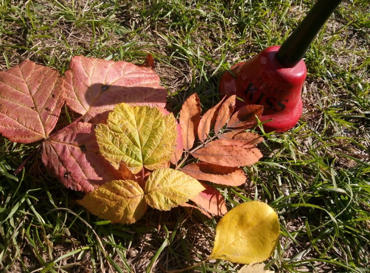 Учебный год начался, а вопросы остаются. Подборка частых вопросов к дню знаний!