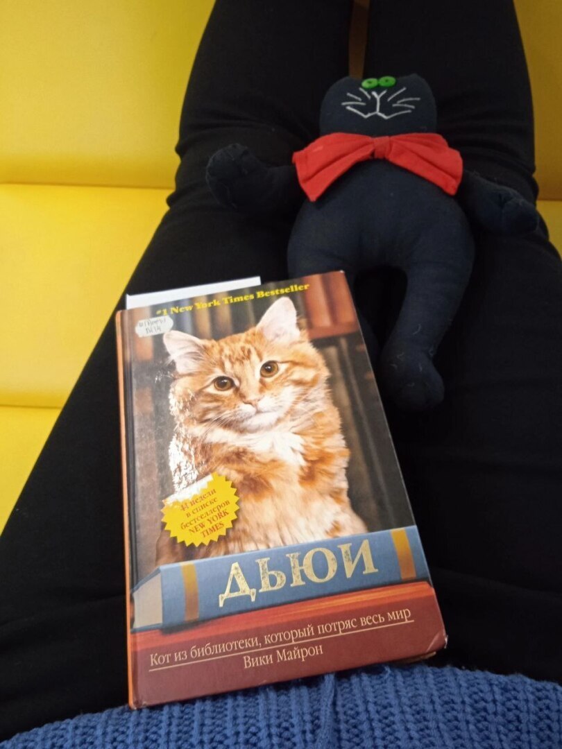 Как Дон Диего на экскурсию ходил