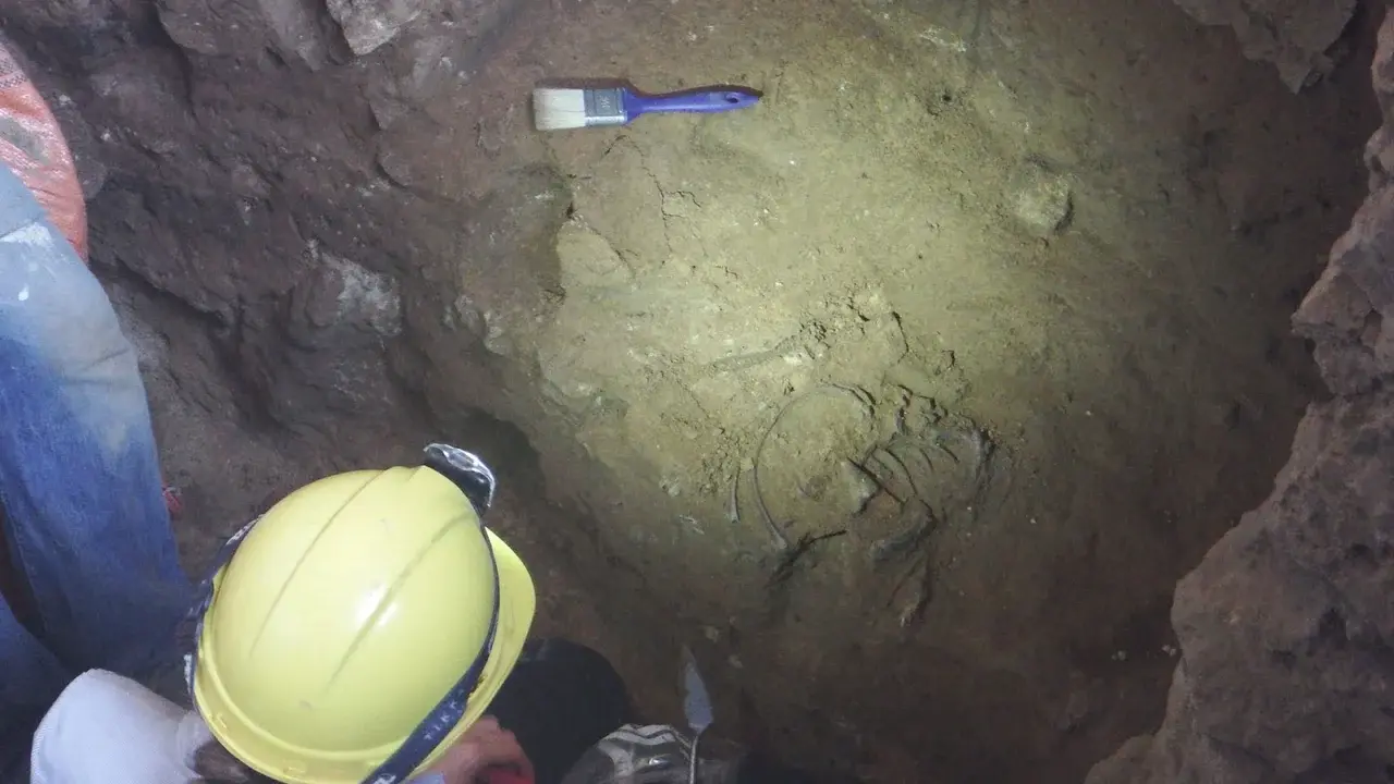 «Цветочное захоронение», раскопанное в 1960 году, изменило подход к изучению неандертальцев. Новое открытие ставит это под сомнение