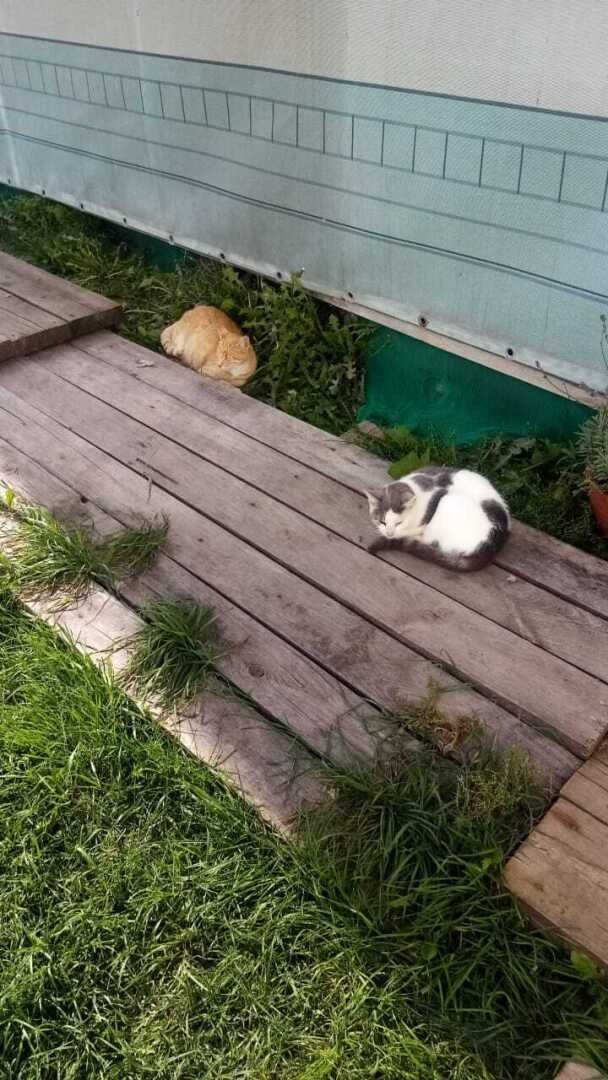 Моя поездка в удивительный монастырь на Селигере