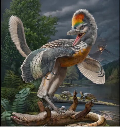 Ученые обнаружили в провинции Фуцзянь окаменелость динозавра юрского периода