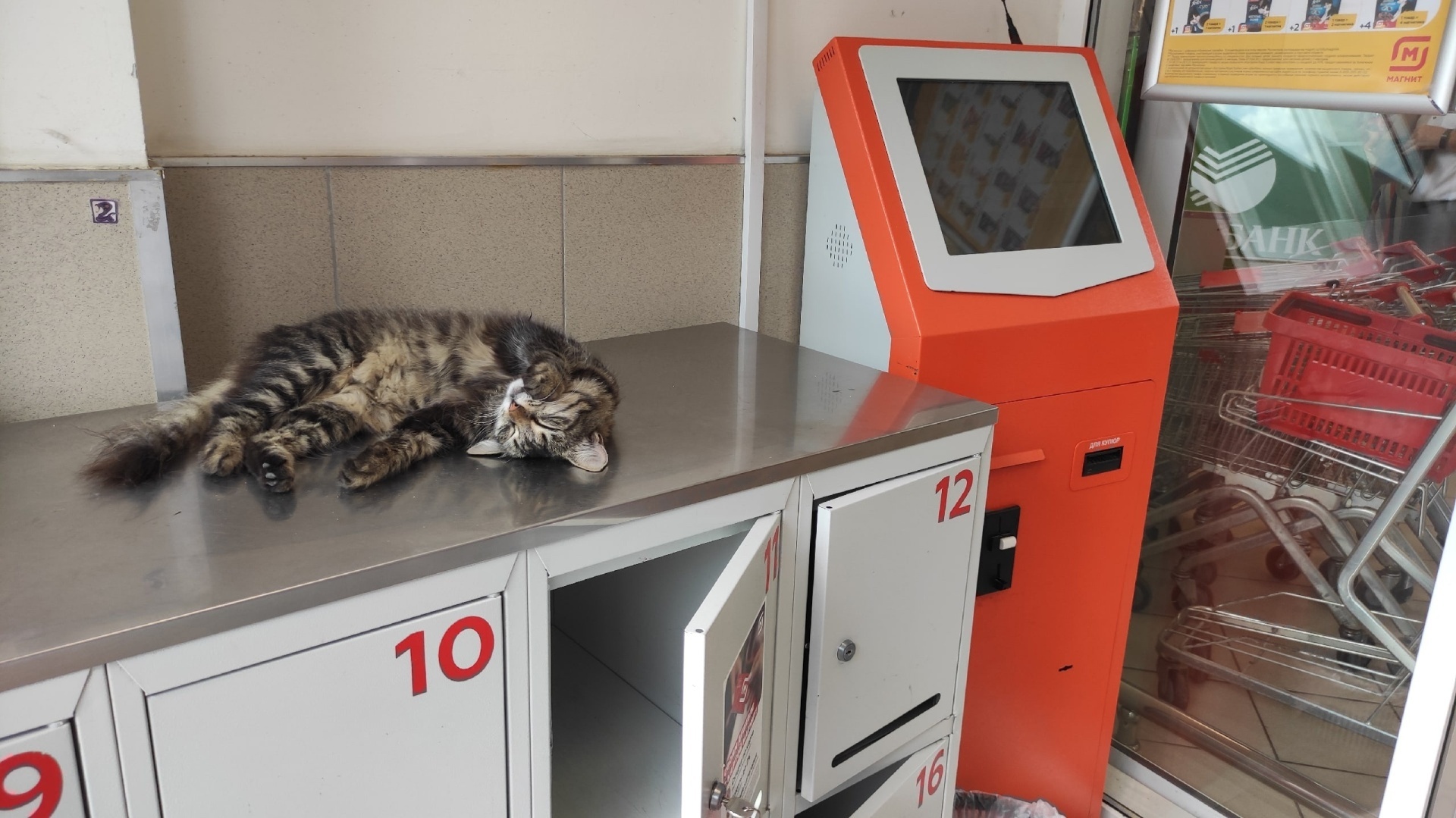 Почему этой осенью цены на сезонные овощи и фрукты не упали, а на все остальные продукты продолжают расти