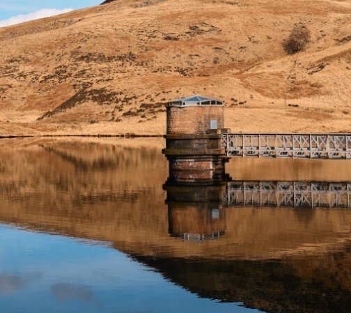 Первые случаи легионеллёза в России: Как уберечь себя и близких