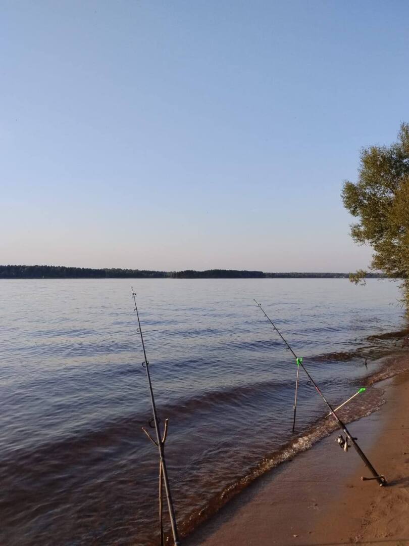 Тайна и увлечение: отдых на берегу Волги