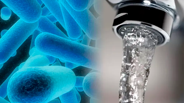 Первые случаи легионеллёза в России: Как уберечь себя и близких