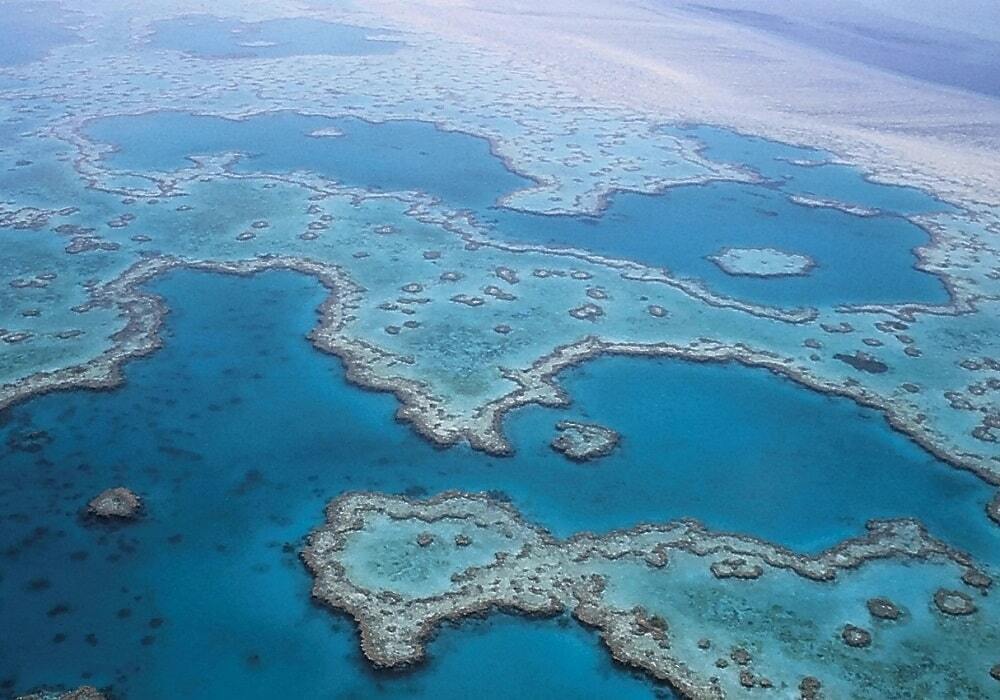 Интересные факты о Большом Барьерном рифе