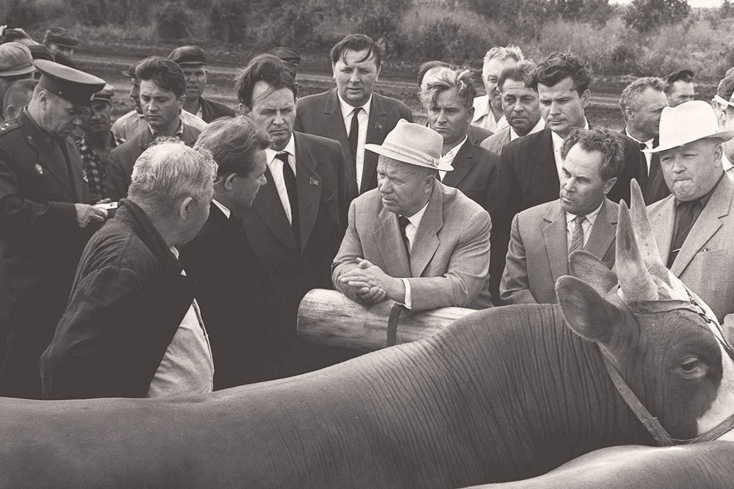 Догнать и перегнать США. Рязанская афера