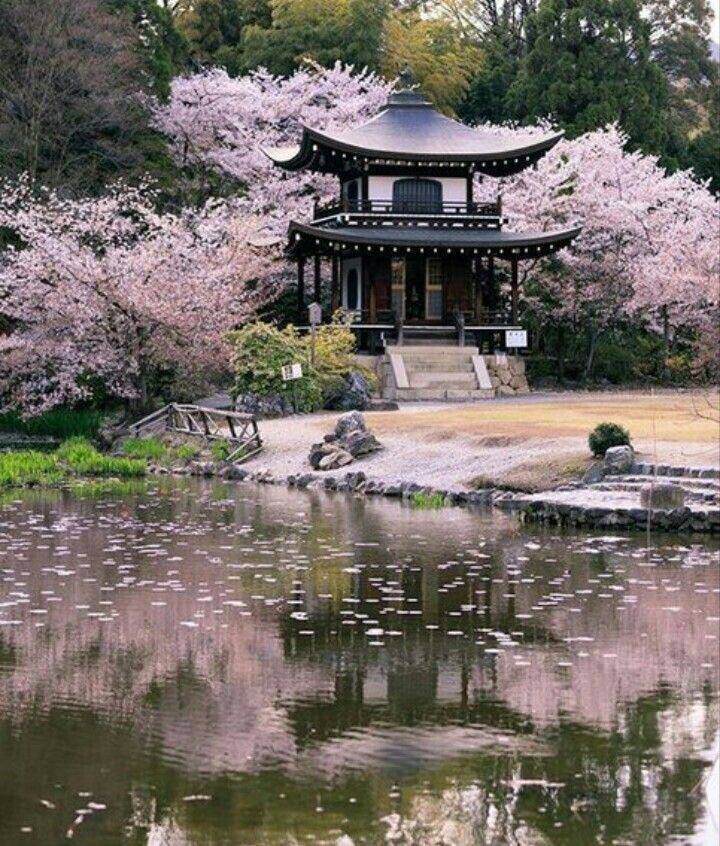 "Куда, если не на Бали"?