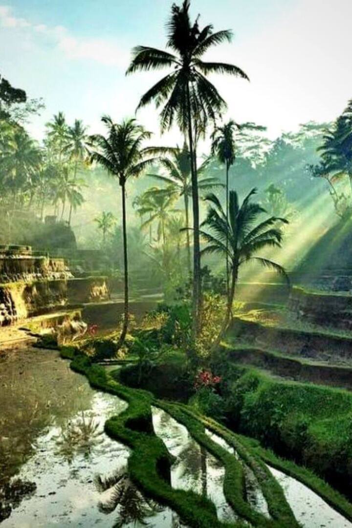 "Остров богов: место мистики и красоты"