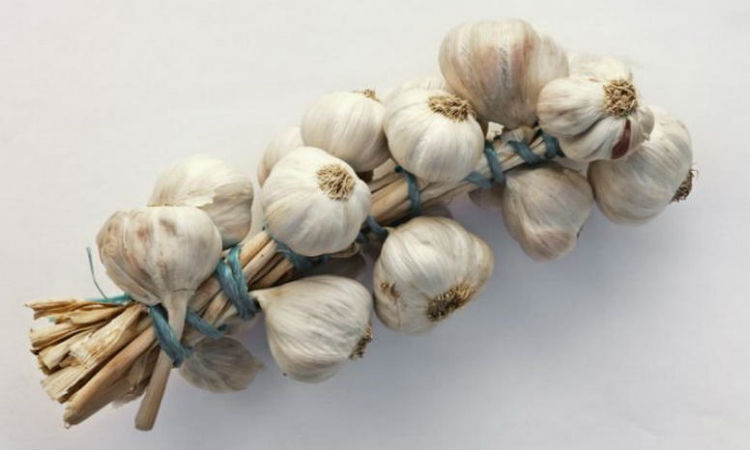Подделки среди китайского чеснока: фальсификации уже присутствуют на рынках