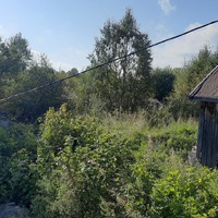 20230910_123551.jpg