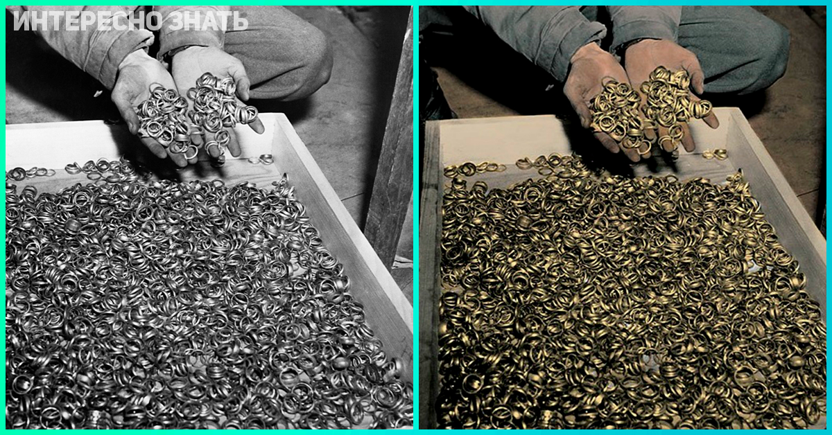 Рассчитывали поднять бучу в России? А разбудили историческую память. Не забудем, не простим!