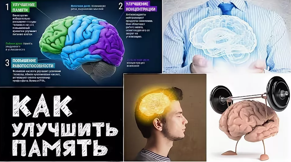 Сохраи. Мозг улучшение памяти. Улучшение память человека. Улучшение работоспособности мозга. Как улучшить память способы.