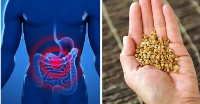 Сколько клетчатки нам нужно для правильного пищеварения и похудения