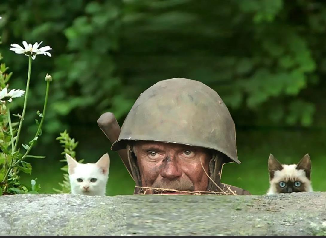 «Стой! Кто идёт?» Или история про козлов